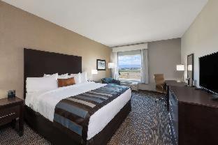 Wyndham Garden Orlando Universal / I Drive Room photo